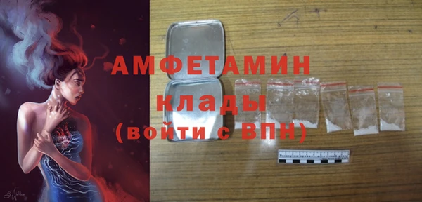 СК Алексин