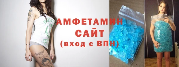 СК Алексин