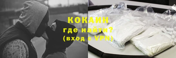 СК Алексин