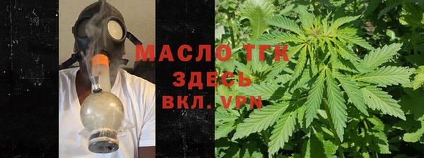 СК Алексин