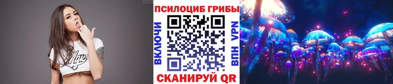omg сайт  Игра  Галлюциногенные грибы Cubensis 